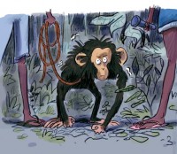 http://www.gregoryelbaz.com/files/gimgs/th-35_JLIN0487_ROMAN_Jim et le singe_GE-17b.jpg